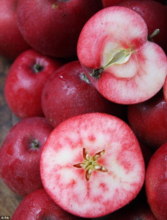 Giống táo cho quả đỏ từ vỏ đến ruột màu như một 