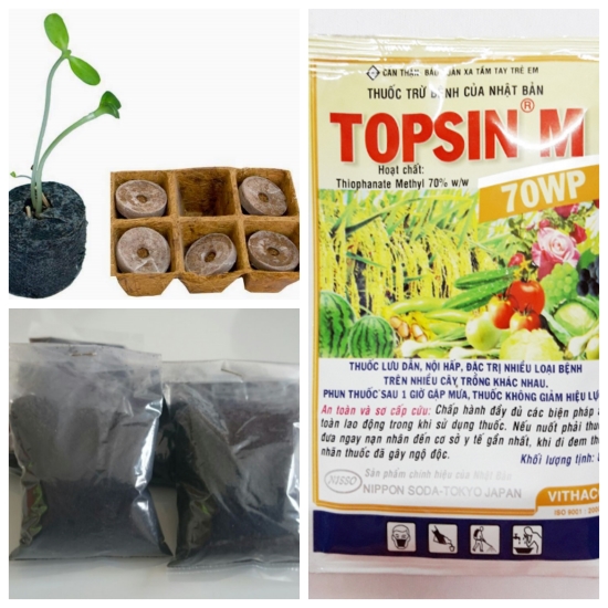 bộ sản phẩm trồng và chăm sóc cây/hạt 