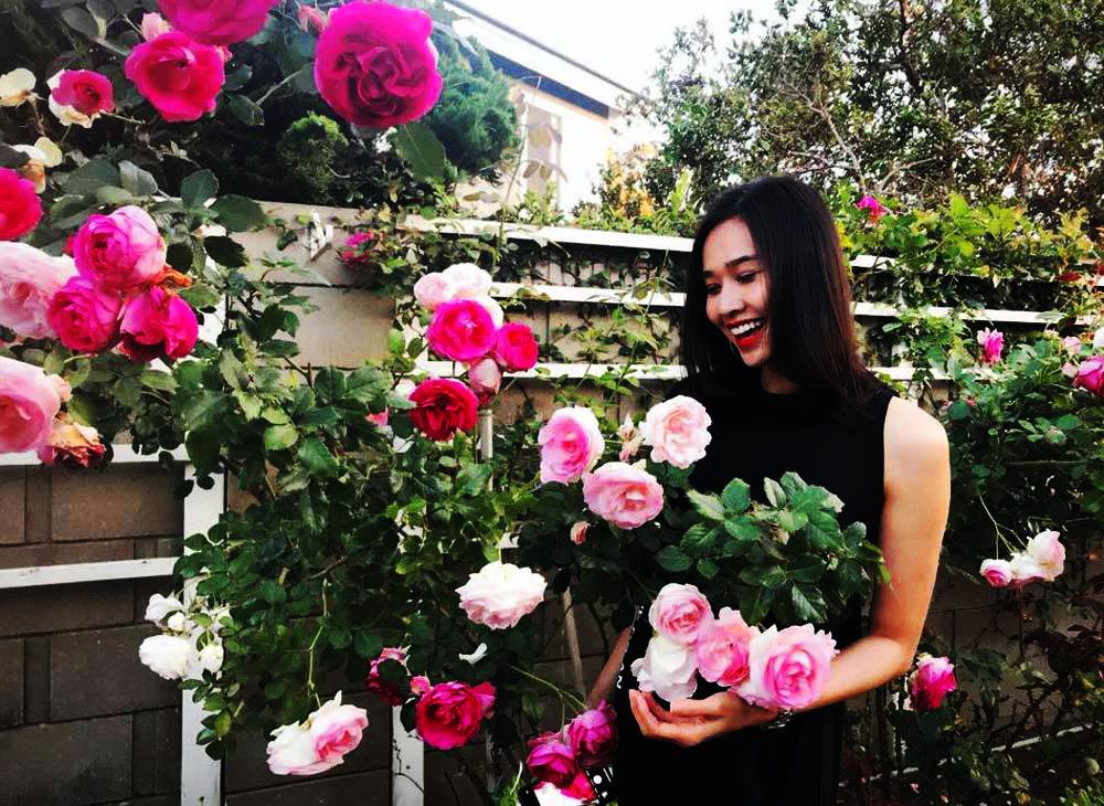 vườn hoa hồng đẹp