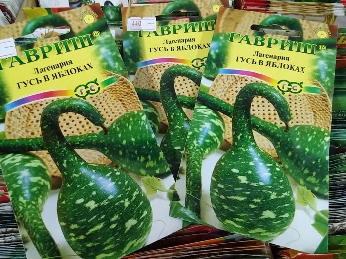 Gói hạt giống có mặt tại Shop xuất xứ từ Nga